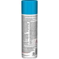 Pro Line Instant Shine for Plastic Surfaces, 11 oz., Aerosol Can Equipex