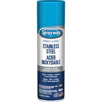 Nettoyant & polis pour acier inoxydable Pro Line, 15 oz, Canette a&eacute;rosol Equipex