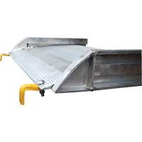 Aluminum Walk Ramp, 1000 lbs. Capacity, 38" W x 193-1/8" L Equipex