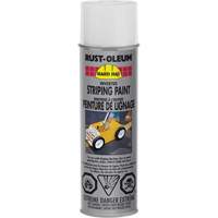 Inverted Marking Paint Spray, White, Aerosol Can Equipex