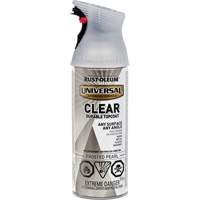 Universal Durable Top Coat, 312 g, Aerosol Can, Frosted Pearl Equipex
