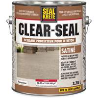 Produit d&eacute;tanch&eacute;it&eacute; protecteur Seal-Krete, 3,78 L, &agrave; l'ur&eacute;thane, Satin, Transparent Equipex