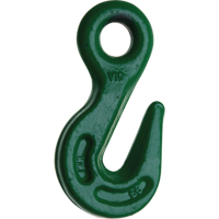 Alloy Steel Hooks Equipex
