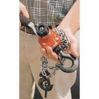 Series 602 Mini Ratchet Lever Hoist, 5' Lift, 550 lbs. (0.275 tons) Capacity, Steel Chain Equipex