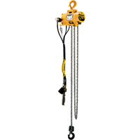 Budgit&reg; Air Chain Hoists Equipex