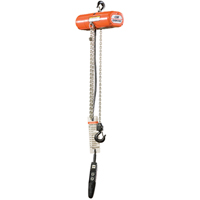 Palans &eacute;lectriques ShopStar, Lev&eacute;e 10', Capacit&eacute; 300 lb (0,15 tonne), 16 pi/min Equipex
