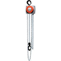 Hurricane 360° Chain Hoist, 10' Lift, 1000 lbs. (0.5 tons) Capacity, Steel Chain Equipex