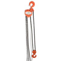Chain Hoist, 10' Lift, 1000 lbs. (0.5 tons) Capacity, Alloy Steel Chain Equipex