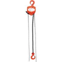 Chain Hoist, 10' Lift, 2000 lbs. (1 tons) Capacity, Alloy Steel Chain Equipex