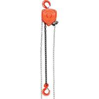 Chain Hoist, 20' Lift, 1000 lbs. (0.45 tons) Capacity, Alloy Steel Chain Equipex