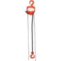 Chain Hoist, 20' Lift, 1000 lbs. (0.45 tons) Capacity, Alloy Steel Chain Equipex