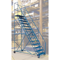 CSA-Certified Rolling Step Ladder with Locking Step, 14 Steps, 30" Step Width, 128" Platform Height, Steel Equipex