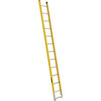 Single Section Straight Ladder - 6100 Series, 12', Fibreglass, 375 lbs., CSA Grade 1AA Equipex