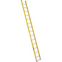 Single Section Straight Ladder - 6100 Series, 14', Fibreglass, 375 lbs., CSA Grade 1AA Equipex