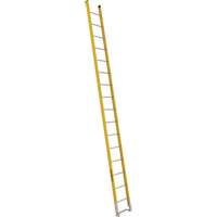 Single Section Straight Ladder - 6100 Series, 16', Fibreglass, 375 lbs., CSA Grade 1AA Equipex