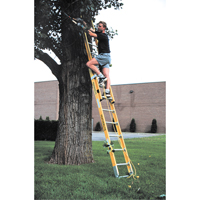 Industrial Heavy-Duty Extension Ladders (6200 Series), 375 lbs. Cap., 13' H, Grade 1AA Equipex