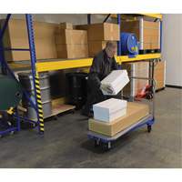 Platform Cart, 48" L x 24" W, 1500 lbs. Capacity, Mold-on Rubber Casters Equipex