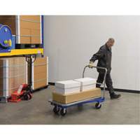 Platform Cart, 48" L x 24" W, 1500 lbs. Capacity, Mold-on Rubber Casters Equipex