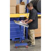 Mobile Tilting Work Table Equipex