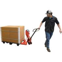 Transpalette, 48" lo x 27,5" la, Capacit&eacute; de 5000 lb Equipex