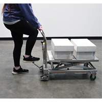 Hydraulic Scissor Lift Table, 31-1/2" L x 19-1/2" W, Stainless Steel, 550 lbs. Capacity Equipex