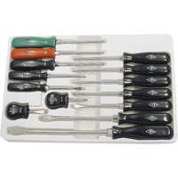 ISD-14 ABS Handle Screwdriver Set, 14, Magnetic Equipex