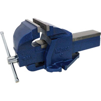 Cast Ductile Iron Bench Vise, 6" Jaw Width, 3-3/4" Throat Depth Equipex