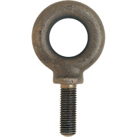 Metric Eyebolt, 51 mm Dia., 70 mm L, 11400 lbs. (5.7 tons) Capacity Equipex