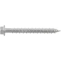 Vis de scellement Aggre-Gator, 1/4" x 1-1/4" lo, Acier inoxydable Equipex