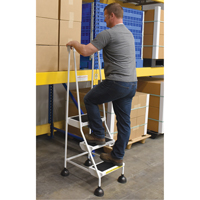 &eacute;chelles Stop-Step, 3 marches, Largeur de la marche 16", Hauteur de la plateforme 28-11/16", Acier Equipex