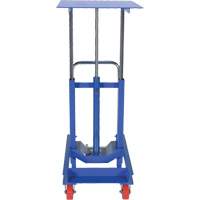 Lift Table, 30"L x 24"W, Steel, 2000 lbs. Capacity Equipex