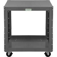 Adjustable Mobile Machine Stand Equipex