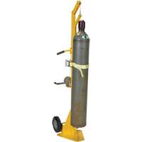 Chariot de levage de bouteille &agrave; gaz portatif Equipex