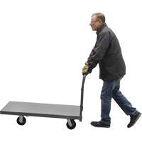 Platform Truck, 48" L x 24" W, 2000 lbs. Capacity, Rubber Casters Equipex