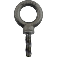 Alloy Steel Eye Bolt, 1" Dia., 1-1/4" L, 1480 lbs. (0.74 tons)/1480 lbs. Capacity Equipex