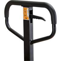 Transpalette manuel, Acier, 48" lo x 21" la, Capacit&eacute; 5500 lb Equipex