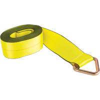 Tendeur d'arrimage logistique, Anneau delta, 30' , 4" , Charge d'utilisation max. 5400 lb (2449 kg) Equipex
