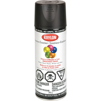 Laque industrielle Acryli-Quik, Noir, Semi-mat, 12 oz, Canette a&eacute;rosol Equipex