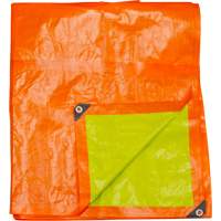 High-Visibility Heavy-Duty Woven Tarp, Polyethylene, Green/Orange, 16' x 20' x 12 mils Equipex