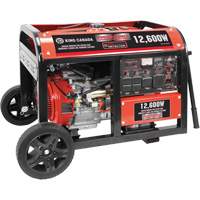 Gasoline Generator with Electric Start, 12600 W Surge, 9000 W Rated, 120 V/240 V, 31 L Tank Equipex