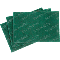Tampons manuels Scotch-Brite, 9" lo x 6" la Equipex