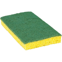Scotch-Brite Medium Duty Scrub Sponge, Scrubbing, 3-3/5" W x 6-1/10" L Equipex