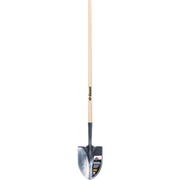 Pelle ronde Pro, Lame Acier durci, Bois, Manche Droit Equipex