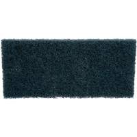 Scrubber Pad, 10" L x 4-5/8" W Equipex