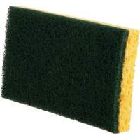 Utility Sponges, Cellulose, 6" W x 3-1/2" L Equipex