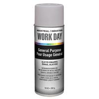 Industrial Work Day Paint, Grey, Very Flat, 10 oz., Aerosol Can Equipex