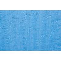 Tarp, Standard Duty, Blue, 7' x 5' x 4 mils Equipex