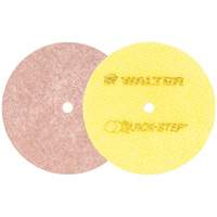 Quick-Step Instant Polish Discs, 5" Dia. Equipex