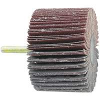 Disque &agrave; lamelles mont&eacute; sur mandrin, Grain 60, 1-1/2" x 1/4" Equipex