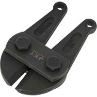 Bolt Cutters